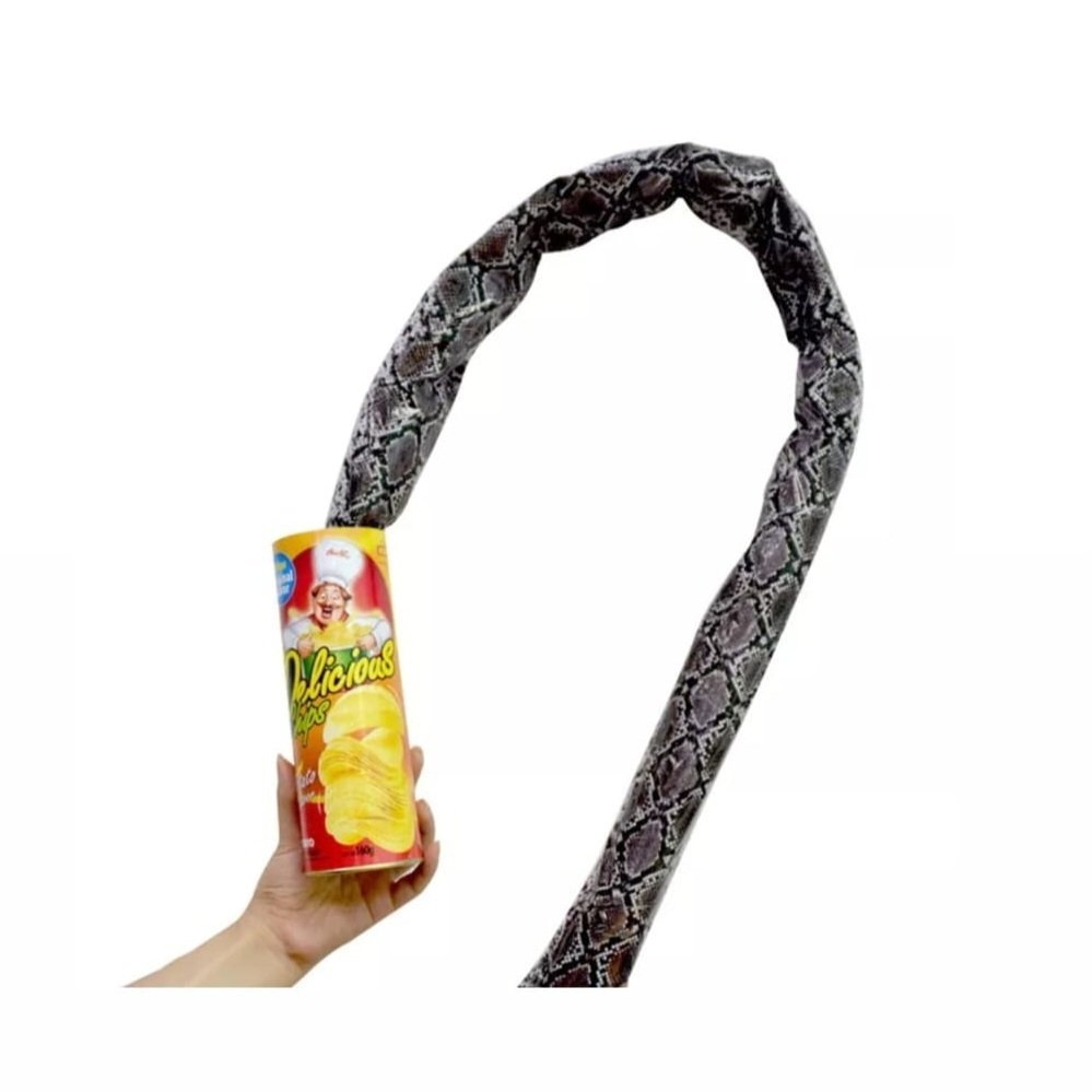 טריק קופסא עם נחש קופץ