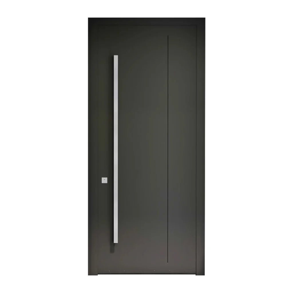 דלת פסים שקועים 6513