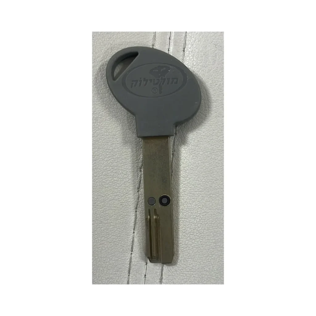 מפתח INTERACTIVE לשכפול